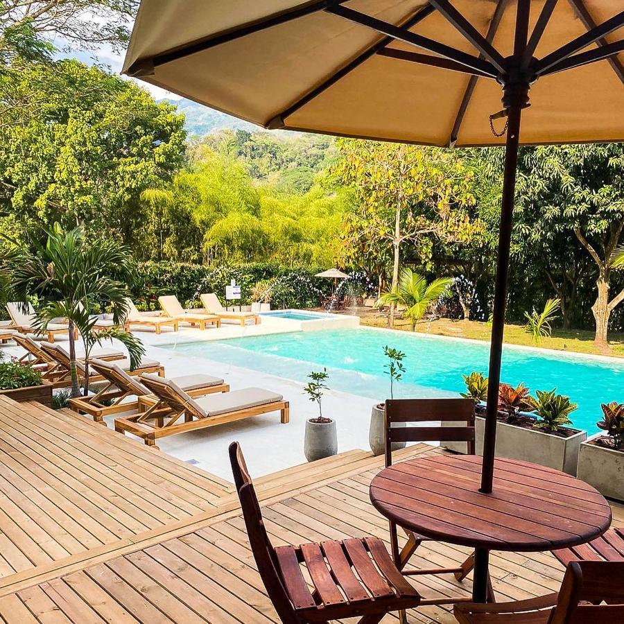 Casa Jacaranda Hotel Boutique - Cauca Viejo - Mayores De 14 Anos - Jericoc  Luaran gambar